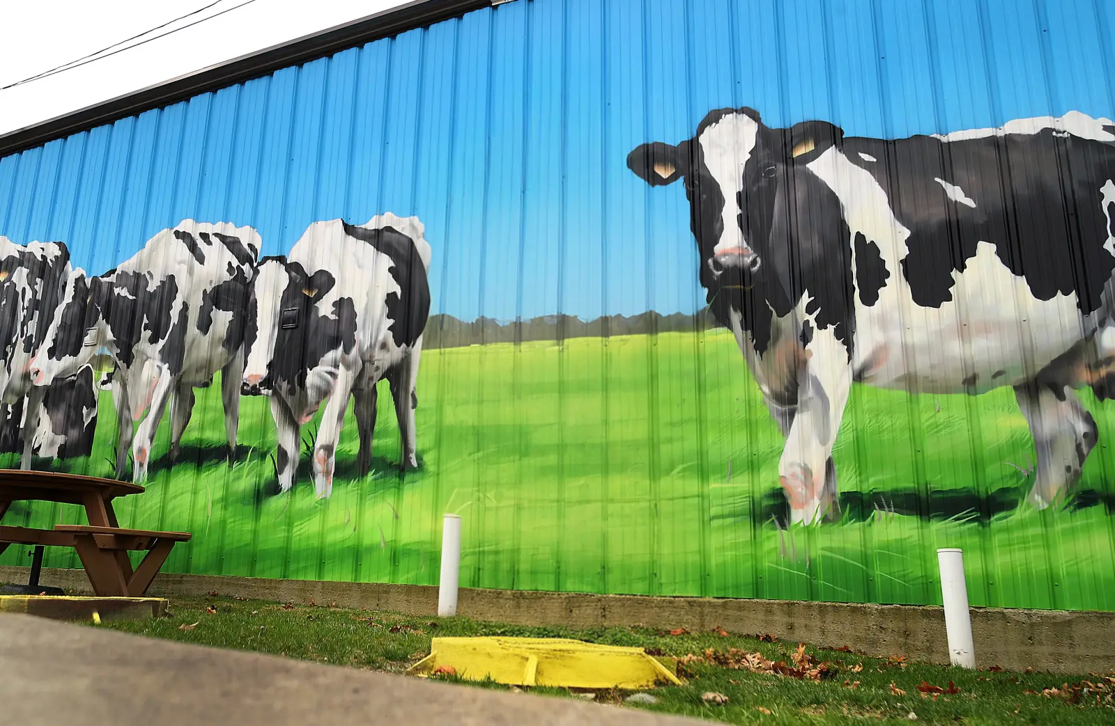 Munroe Dairy cow mural